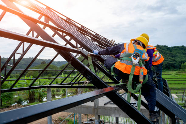 Best Sealant for Roof  in Roma, TX
