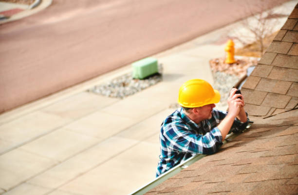 Best Commercial Roofing Services  in Roma, TX