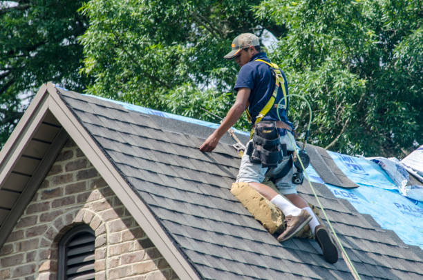 Best Gutter Installation and Roofing  in Roma, TX